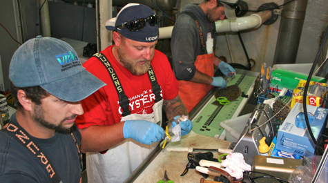 Processing samples